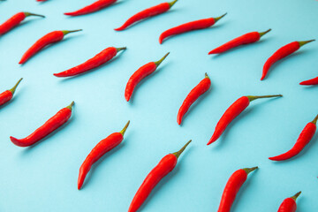hot red chili, on blue background