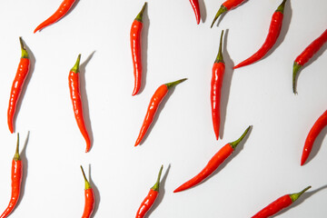 hot red chili, on white background