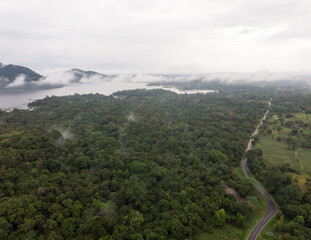 Road through a Rain forest