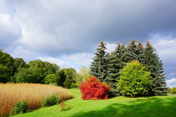 Beautiful autumn landscape - small pond in the autumn park - autumn in park - golden autumn