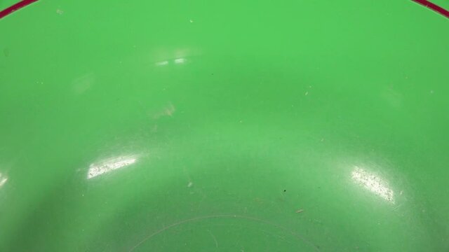 Corn kernel falling on a transparent plate, on chroma background.