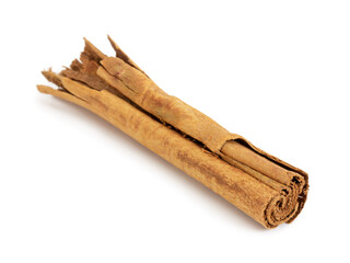 One stick true cinnamon isolated on white background.