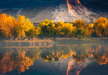 Beautiful fall foliage by the mountain with lake reflection