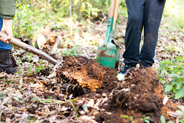 A woman digging a hole in he ground
