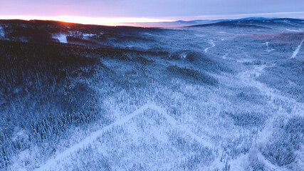 Aerial Winter forest after snow at sunset, Fairbanks, Alaska