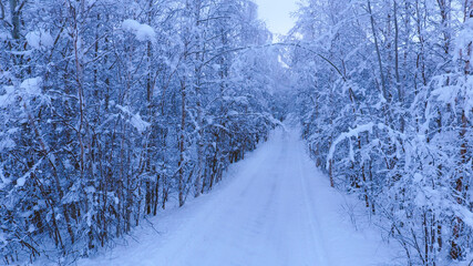 Obraz premium Aerial Winter forest after snow, Fairbanks, Alaska