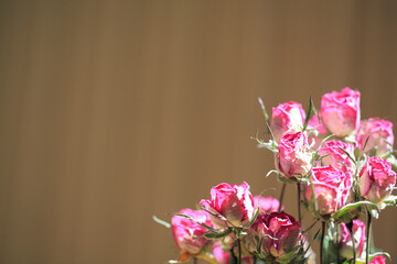 薔薇ドライフラワー