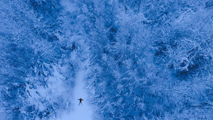 Aerial Winter forest after snow, Fairbanks, Alaska