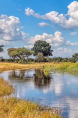 beautiful african landscape with wild river in national park Bwabwata on Caprivi Strip, blue sky...