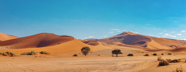 Fototapeta na wymiar dunes in sossusvlei with wind shapes the sand dunes, Namibia arid wilderness landscape