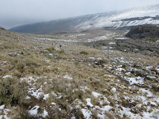 Mt. Kilimanjaro hike via Lemosho route