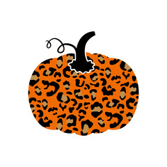 Leopard pumpkin2