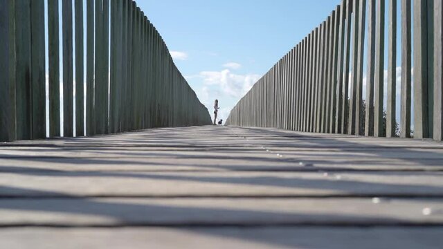 Woman and sausage dog walking in the distance on the Urunga boardwalk