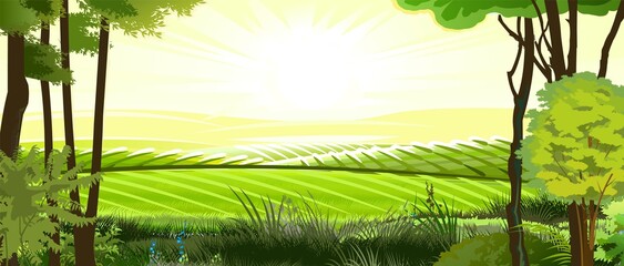 Rural hills. Landscape with trees. Vector. Pasture grass for cows and a place for a vegetable garden and farm. Meadows and trees. Horizon. Beautiful view. Summer. © WebPAINTER-Std