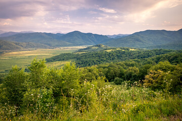 Fototapeta premium Early morning just after sunrise. Silhouettes of mountains in the morning haze, grass and wildflowers in the foreground. Alpine summer landscape. Lagonaki Plateau, Republic of Adygea, Russia