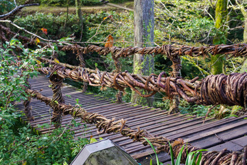 福井県池田町のかずら橋