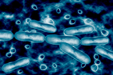 大腸菌 © Paylessimages