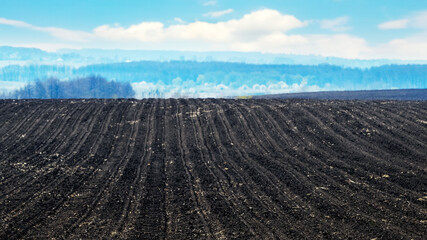 Rural landscape with plowed and cultivated field and forest in the distance