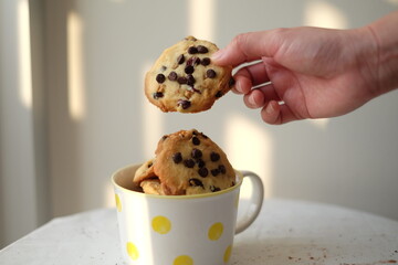 cookies chocolate chip
