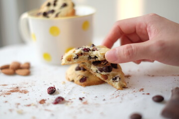cookies chocolate chip