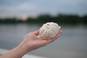 delicious steam bun pork sweet