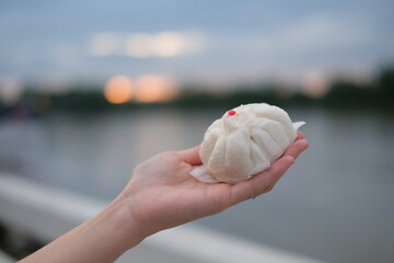 delicious steam bun pork sweet
