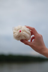 delicious steam bun pork sweet