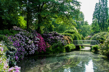 Botanical gardens Trompenburg Rotterdam