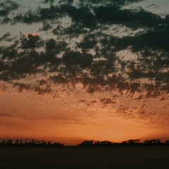 sunset in the city