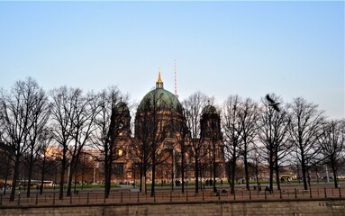 Berliner Dom behind the tress. Berliner Dom in Berlin during sunset and behind the withered tree during autumn