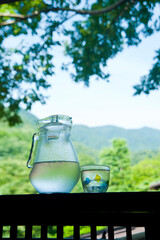 水差しと緑