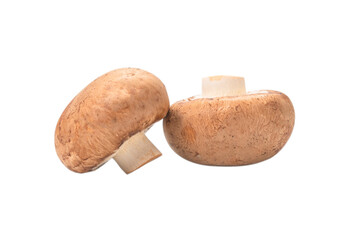 Tasty mushroom isolated on white background.