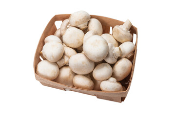 Champignon mushroom isolated on white background.