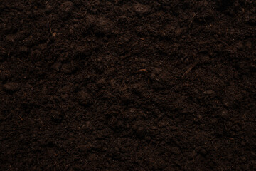Black land for plant background.