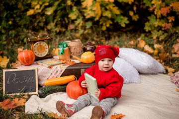 a child is sitting on a blanket against a maple tree with a book. In autumn, the baby walks in nature. Warm autumn. Photo zone for an autumn photo shoot. A child with a book. 