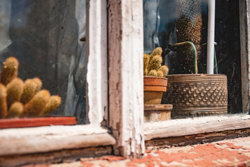 Ein Blick durch's Fenster