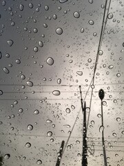 물방울 패턴의 비오는날 풍경
