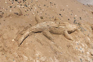 Sandy crocodile figure molded on the beach by the sea