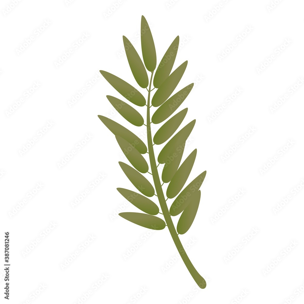 Poster rowan green branch icon. cartoon of rowan green branch vector icon for web design isolated on white 