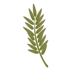 Rowan green branch icon. Cartoon of rowan green branch vector icon for web design isolated on white background