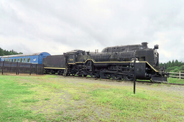 Obraz na płótnie Canvas D51形式蒸気機関車（小岩井農場）