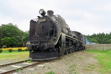 Naklejka premium D51形式蒸気機関車（小岩井農場）