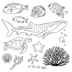 海　魚　ジンベイザメ　ウミガメ　あしらい　ペン画　手書き