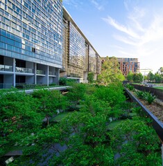 Fototapeta premium Apartment block in Sydney NSW Australia with hanging gardens and plants on exterior of the building 