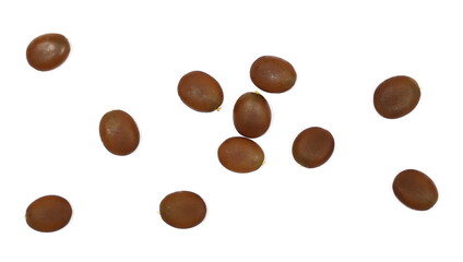 Unripe acacia seeds in autumn isolated on white background, top view