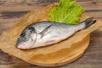 Raw Dorada fish  for cooking
