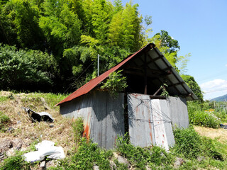 トタン小屋