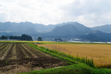 列車の車窓から見る阿蘇の外輪山