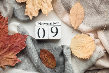 ninth day of autumn month calendar November