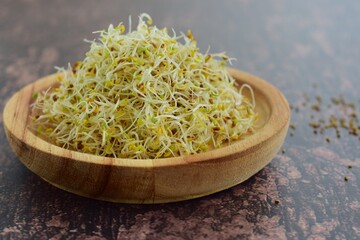 heap of alfalfa sprouts on wooden plate